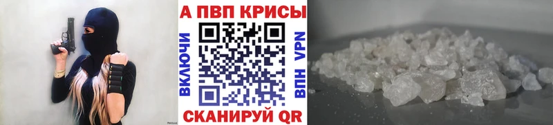 Альфа ПВП СК КРИС Тбилисская