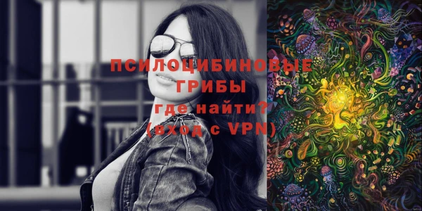 дживик Богданович