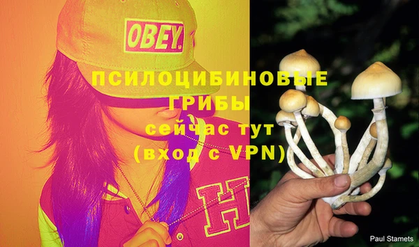 дживик Богданович