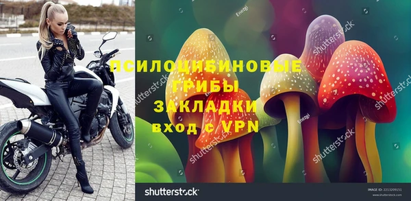 ALPHA PVP Богородицк