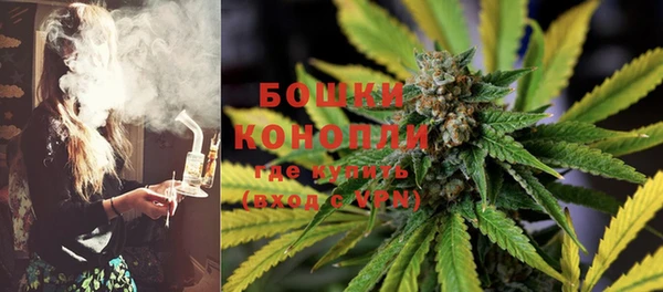 дживик Богданович