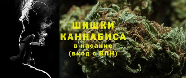 дживик Богданович