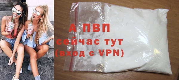 дживик Богданович