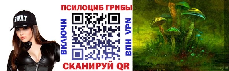 OMG ССЫЛКА  как найти   Тбилисская  Псилоцибиновые грибы прущие грибы 